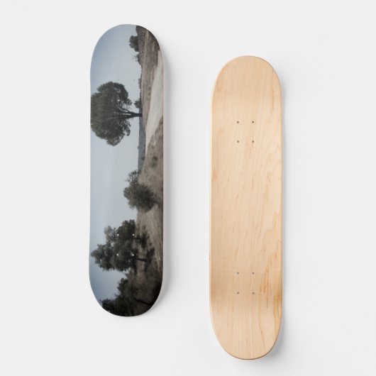SKATEBOARD STIJL ONTWERP (Voorkant)