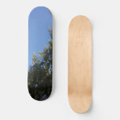SKATEBOARD STIJL ONTWERP (Voorkant)