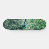 Skateboard Strut Peacock (Horz)