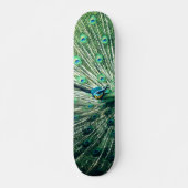 Skateboard Strut Peacock (Devant)