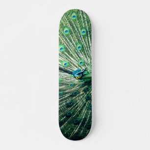 Skateboard Strut Peacock