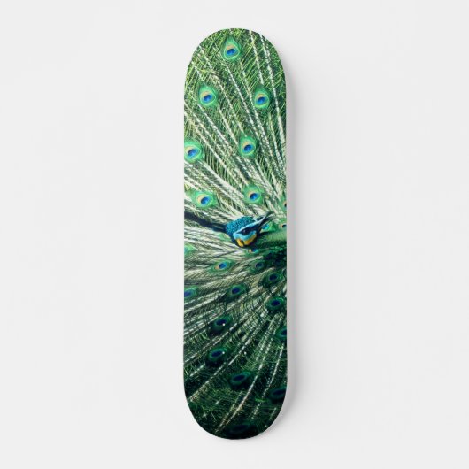Skateboard Strut Peacock (Devant)