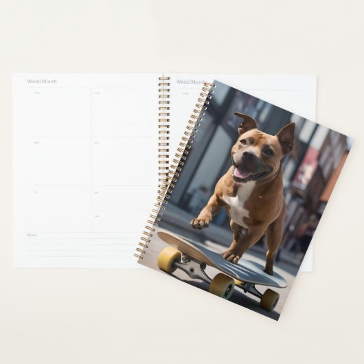 Skateboard Stunt : Un Staffy en déplacement (Devant avec enveloppe)