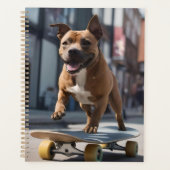 Skateboard Stunt : Un Staffy en déplacement (Devant)