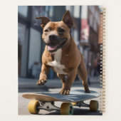 Skateboard Stunt : Un Staffy en déplacement (Dos)