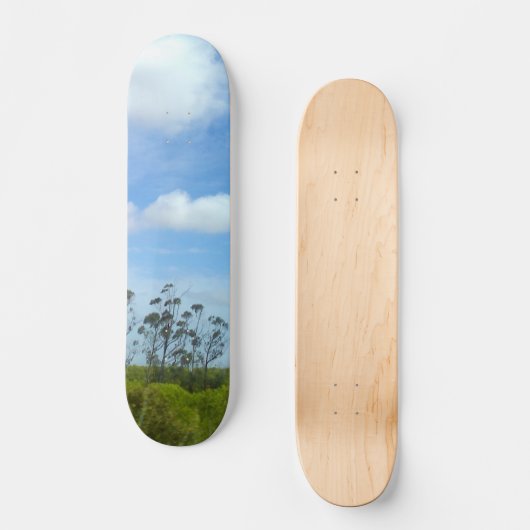 SKATEBOARD STYLE AND DESIGN (Recto)