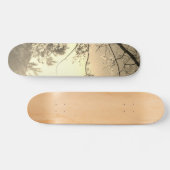 SKATEBOARD STYLE AND DESIGN (Horz)