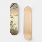 SKATEBOARD STYLE AND DESIGN (Recto)