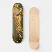 Skateboard style de cheeta (Recto)