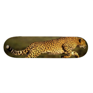 Skateboard style de cheeta