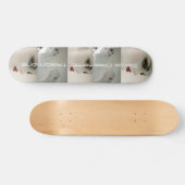 Skateboard Style de mannequin de panneau du patin (Horz)
