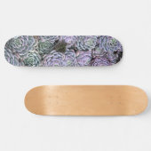 Skateboard Succulentes, Succulentes, Succulentes  (Horz)