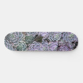 Skateboard Succulentes, Succulentes, Succulentes  (Horz)