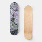 Skateboard Succulentes, Succulentes, Succulentes  (Recto)