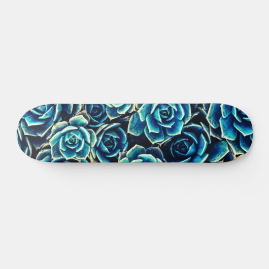 Skateboard Succulents (Horz)