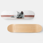 Skateboard Super mignon Scottish Fold Kitten Chat (Horz)