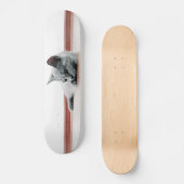 Skateboard Super mignon Scottish Fold Kitten Chat (Recto)