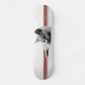 Skateboard Super mignon Scottish Fold Kitten Chat (Recto)