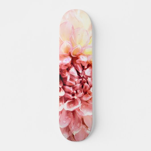 Skateboard Superbe tête de fleur de dahlia rose presque (Devant)