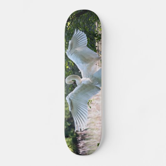 Skateboard Swan avec ailes étalées (Recto)