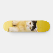 Skateboard Tabla de skate Cachorro Gato Persa (Horz)