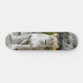 Skateboard Tabla de Skate Leona Salvaje Sentada (Horz)