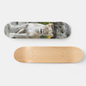 Skateboard Tabla de Skate Leona Salvaje Sentada (Horz)
