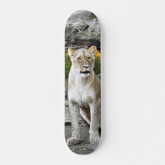 Skateboard Tabla de Skate Leona Salvaje Sentada (Devant)