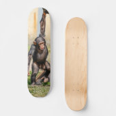 Skateboard Tabla de Skate Mono Chimpancé Guindado (Recto)