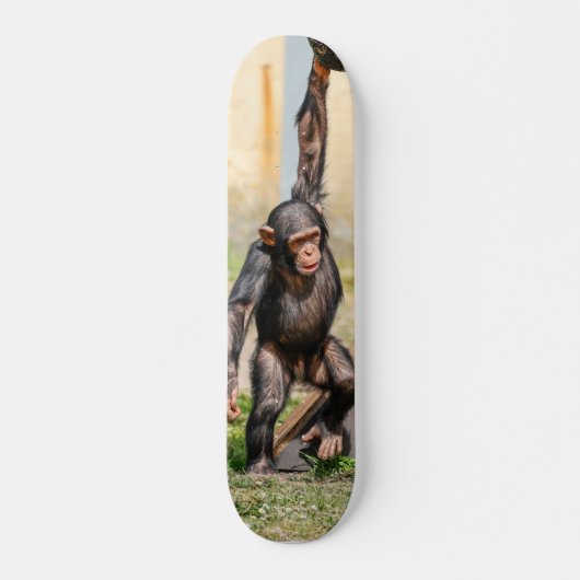 Skateboard Tabla de Skate Mono Chimpancé Guindado (Devant)