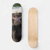 Skateboard Tabla de Skate Mono Macaco Observando (Recto)