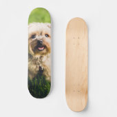 Skateboard Tabla de Skate Perrito Terrier Adorable (Recto)