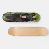 Skateboard Tabla de Skate Perro Pastor Alemán Negro Sentado (Horz)