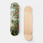 Skateboard tableau classique de la faune des oiseaux colibris (Recto)