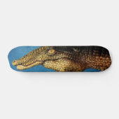 Skateboard Tableau de bord (Horz)