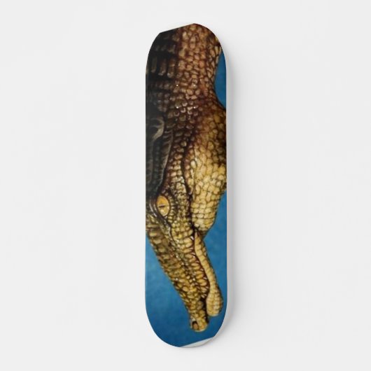 Skateboard Tableau de bord (Devant)