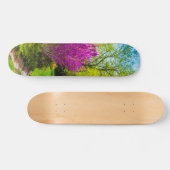 Skateboard Tableau du jour du printemps (Horz)