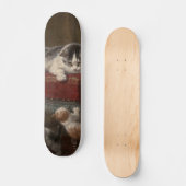 Skateboard Tableaux De Chats Et De Chatons (Recto)