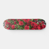 Skateboard tablette (Horz)