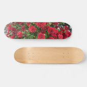 Skateboard tablette (Horz)