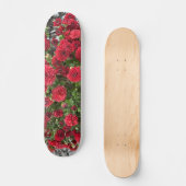 Skateboard tablette (Recto)