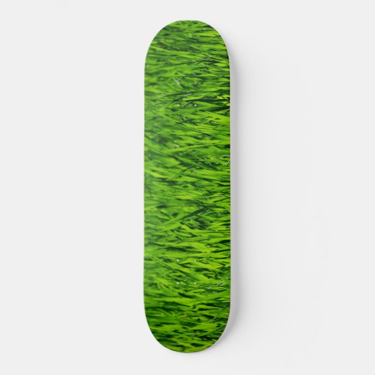 Skateboard Tall Blades of Grass (Recto)