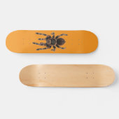 Skateboard Tarantula orange (Horz)