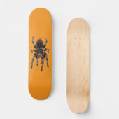 Skateboard Tarantula orange (Recto)