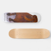 Skateboard Teckel par la neige se précipitant par la neige (Horz)