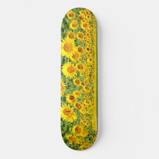 Skateboard Terrain de tournesol (Recto)
