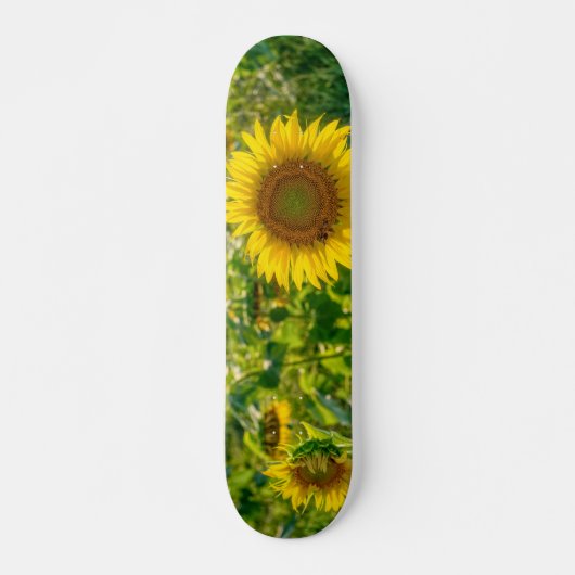 Skateboard Terrain de tournesol doré (Devant)
