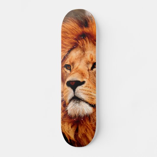 Skateboard Tête de Lion (Recto)