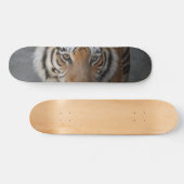 Skateboard Tiger (Horz)