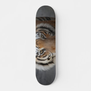 Skateboard Tiger